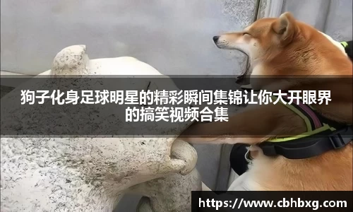 狗子化身足球明星的精彩瞬间集锦让你大开眼界的搞笑视频合集